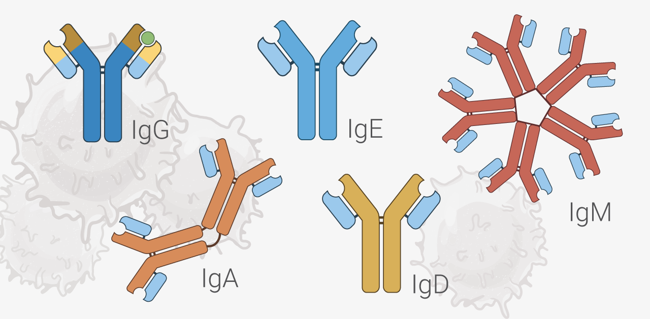 Complex Malignant Hematology | de Souza Institute